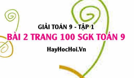 Giải bài 2 trang 100 SGK Toán 9 tập 1